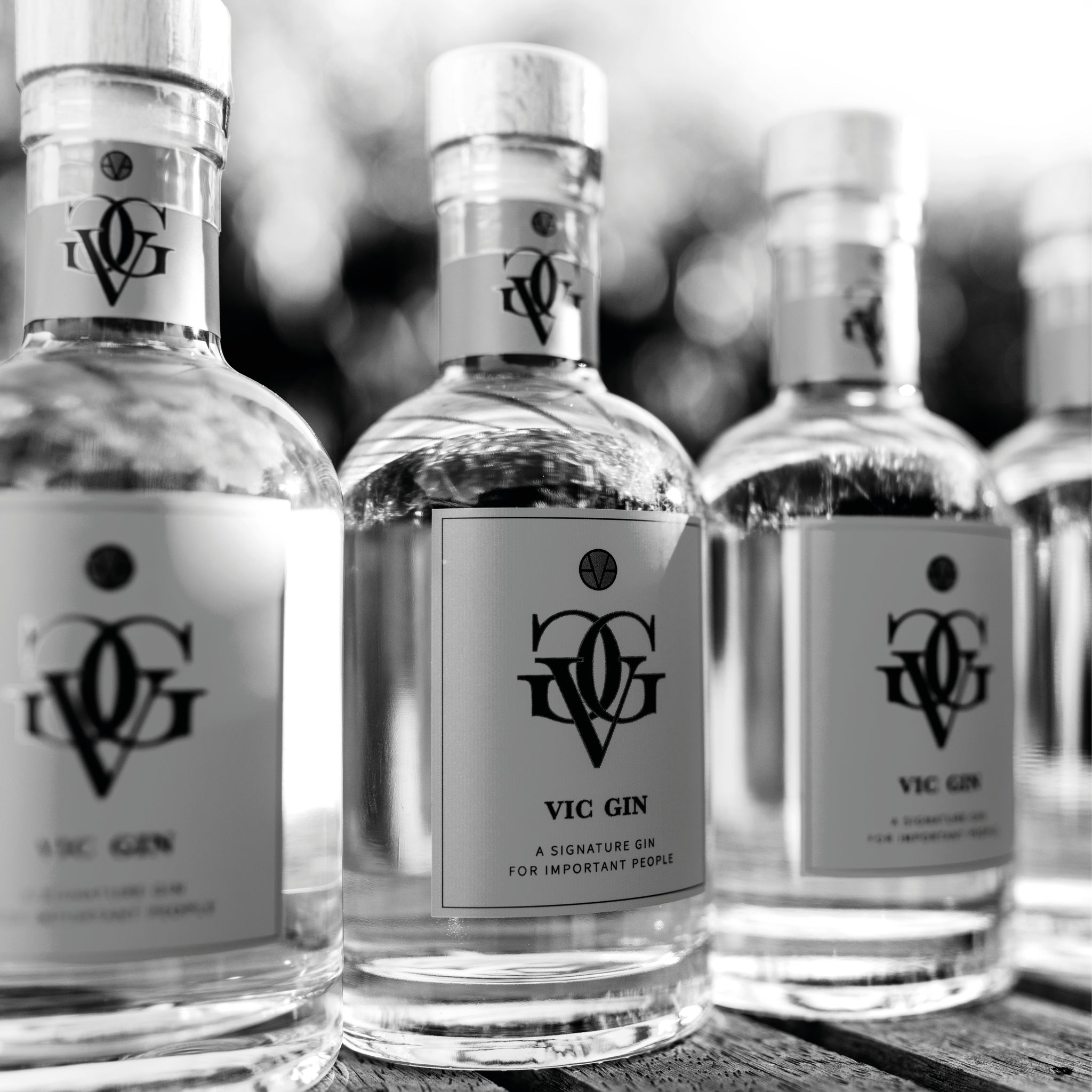 MINI VICGIN 200 ml